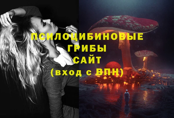 2c-b Алексин