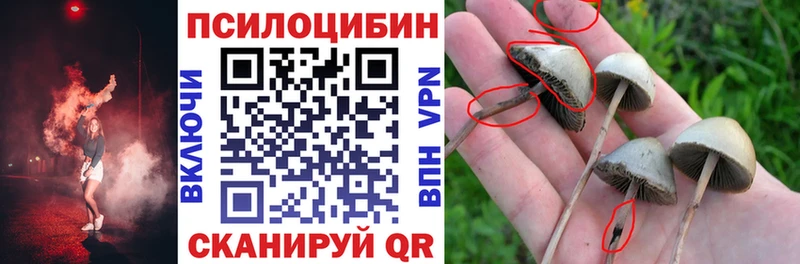 Псилоцибиновые грибы мухоморы  закладка  Константиновск 